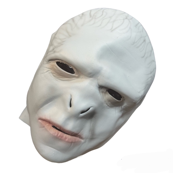 Harry Potter- Lord Voldemort Adult Mask - Picture 1 of 4